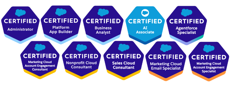 Salesforce Experience